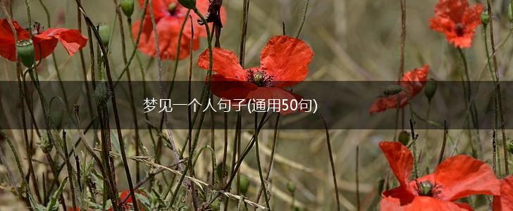 梦见一个人句子(通用50句),第1张