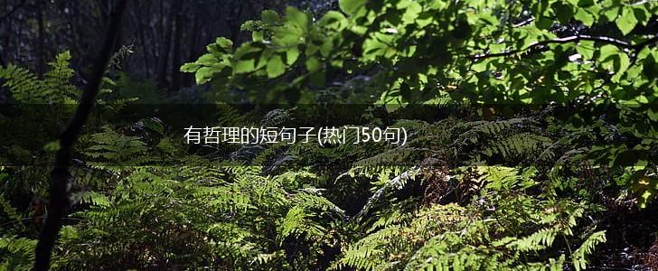 有哲理的短句子(热门50句),第1张