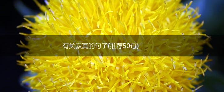 有关寂寞的句子(推荐50句),第1张