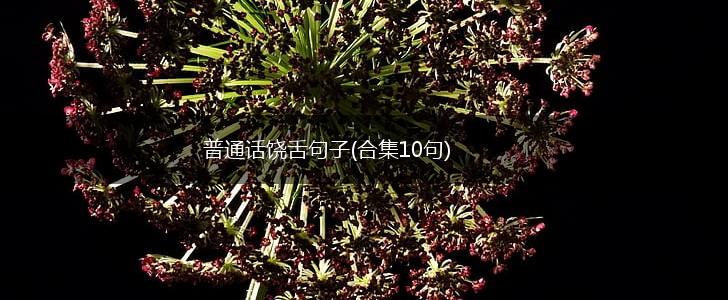 普通话饶舌句子(合集10句),第1张