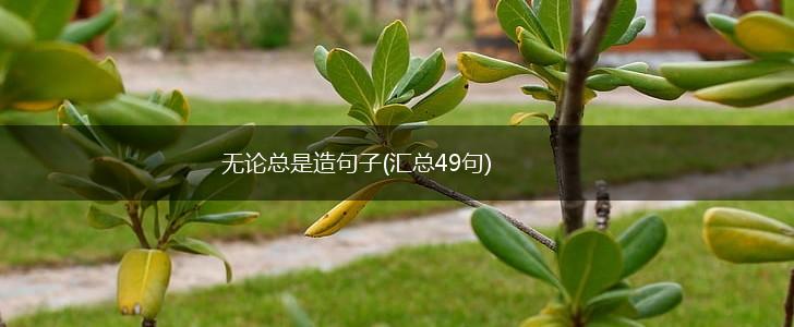 无论总是造句子(汇总49句),第1张
