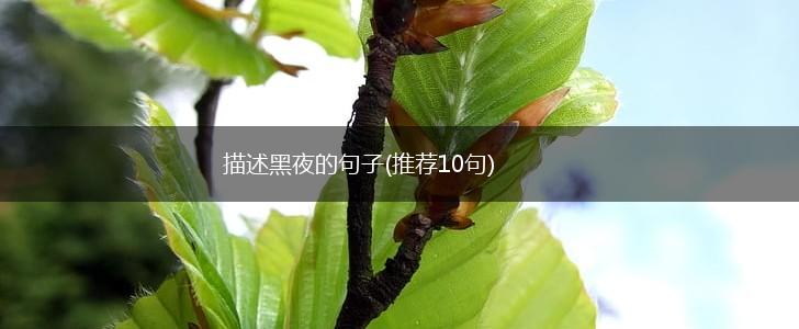 描述黑夜的句子(推荐10句),第1张
