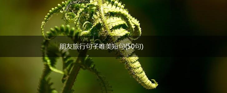 朋友旅行句子唯美短句(50句),第1张