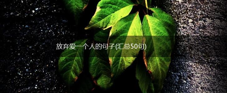 放弃爱一个人的句子(汇总50句),第1张