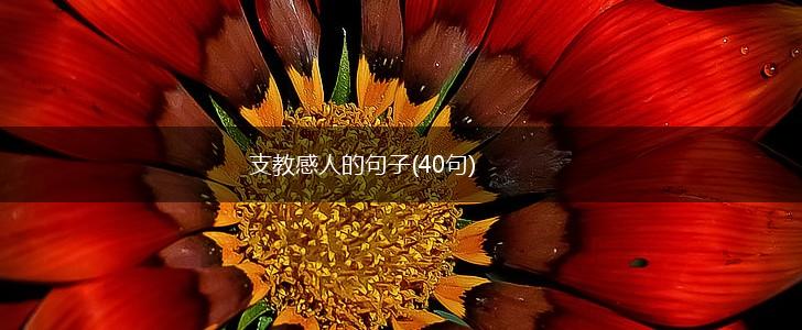支教感人的句子(40句),第1张