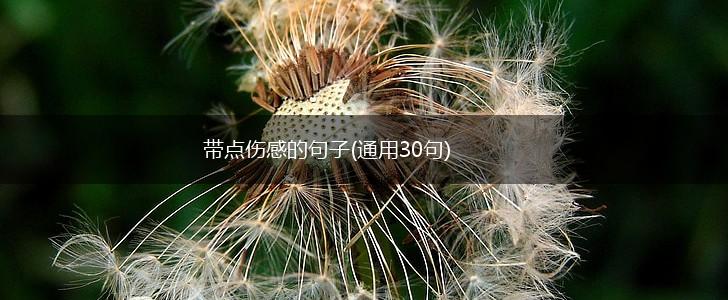 带点伤感的句子(通用30句),第1张