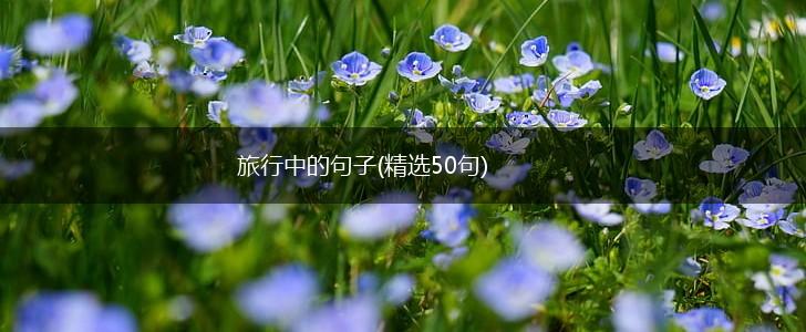 旅行中的句子(精选50句),第1张