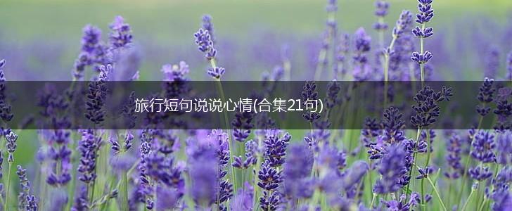旅行短句说说心情(合集21句),第1张