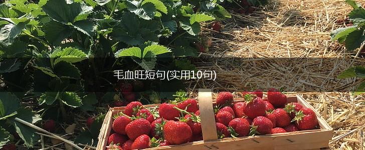 毛血旺短句(实用10句),第1张