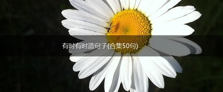 有时有时造句子(合集50句),第1张