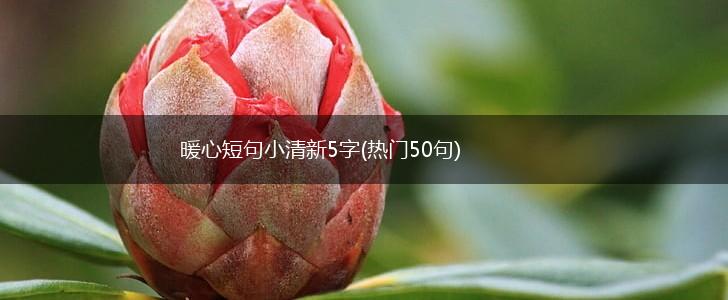 暖心短句小清新5字(热门50句),第1张