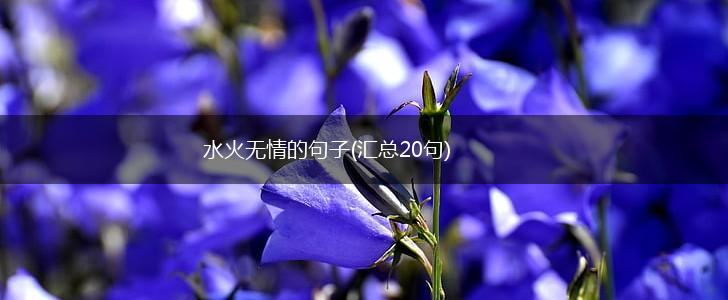水火无情的句子(汇总20句),第1张