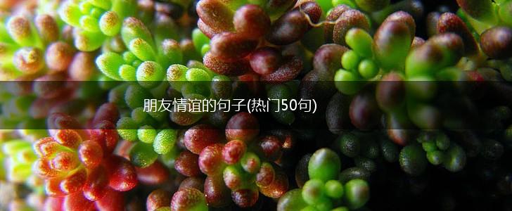 朋友情谊的句子(热门50句),第1张