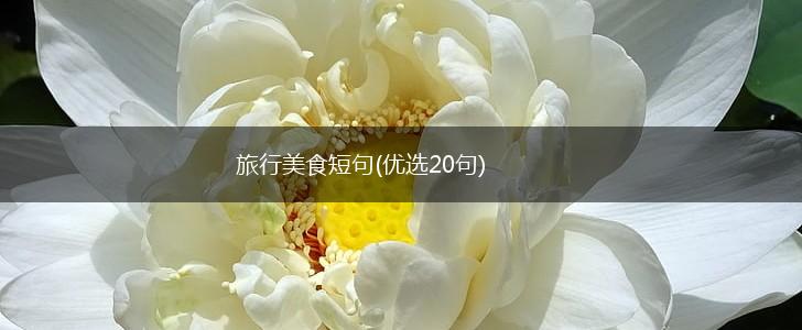 旅行美食短句(优选20句),第1张