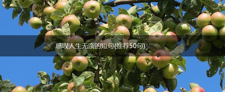 感叹人生无奈的短句(推荐50句),第1张