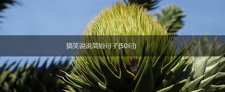 搞笑说说简短句子(50句),第1张