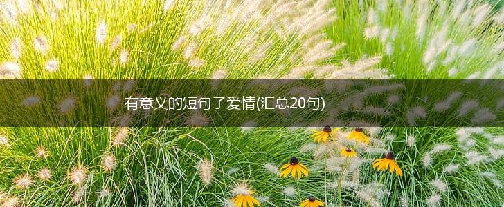 有意义的短句子爱情(汇总20句),第1张