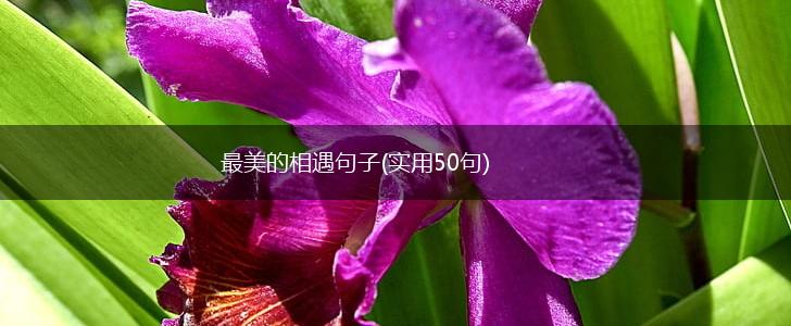 最美的相遇句子(实用50句),第1张