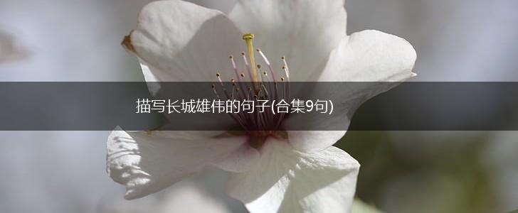 描写长城雄伟的句子(合集9句),第1张