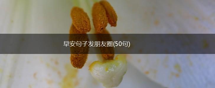 早安句子发朋友圈(50句),第1张