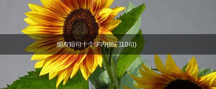 朋友短句十个字内(热门10句),第1张
