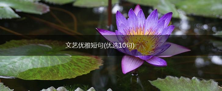 文艺优雅短句(优选10句),第1张