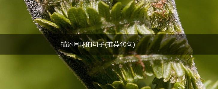 描述耳环的句子(推荐40句),第1张