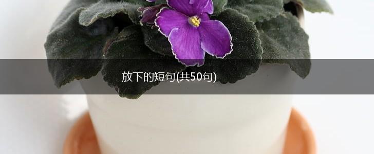 放下的短句(共50句),第1张