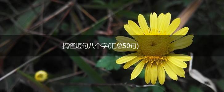 搞怪短句八个字(汇总50句),第1张