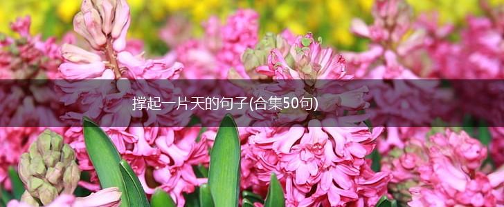 撑起一片天的句子(合集50句),第1张