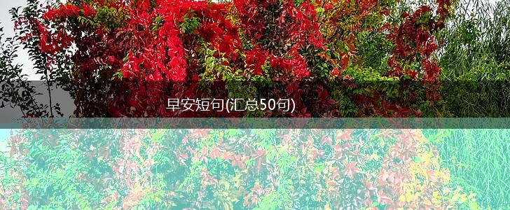 早安短句(汇总50句),第1张