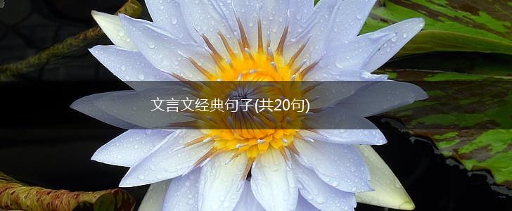 文言文经典句子(共20句),第1张