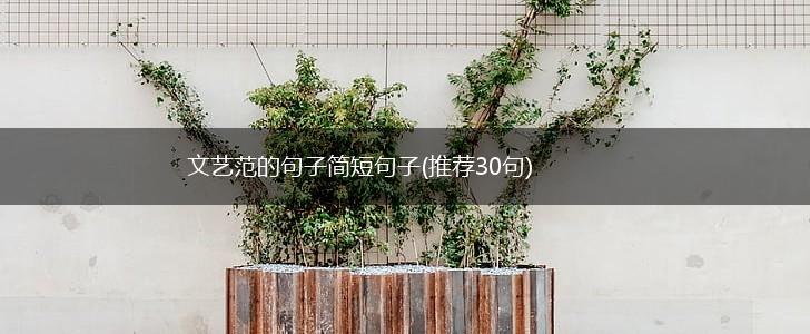 文艺范的句子简短句子(推荐30句),第1张
