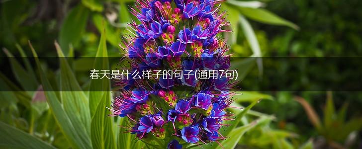 春天是什么样子的句子(通用7句),第1张