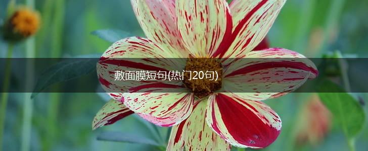 敷面膜短句(热门20句),第1张
