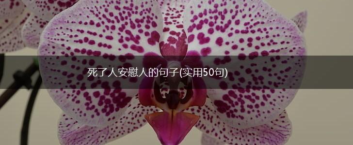 死了人安慰人的句子(实用50句),第1张