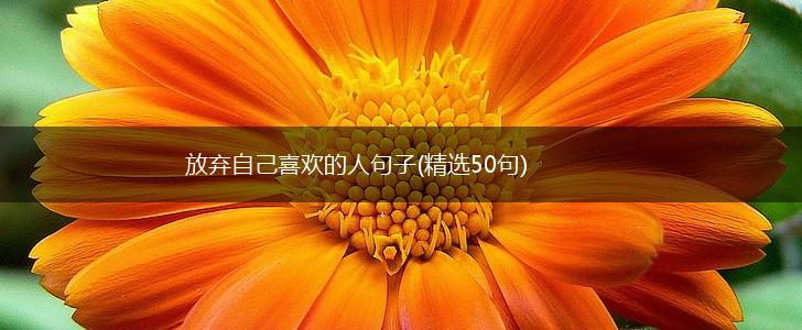 放弃自己喜欢的人句子(精选50句),第1张