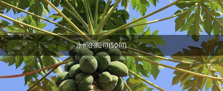 永恒的短句(50句),第1张