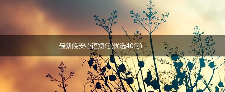 最新晚安心语短句(优选40句),第1张