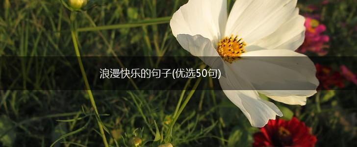浪漫快乐的句子(优选50句),第1张