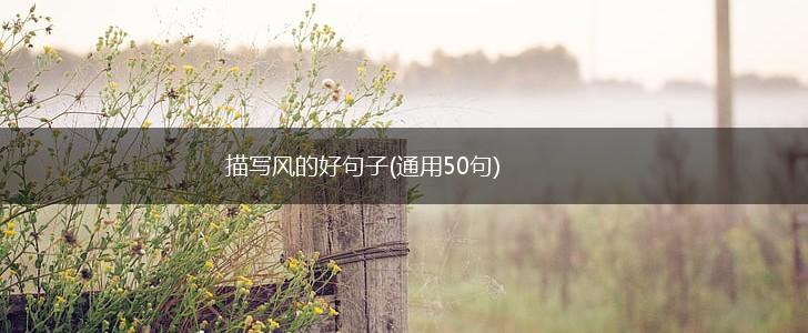 描写风的好句子(通用50句),第1张