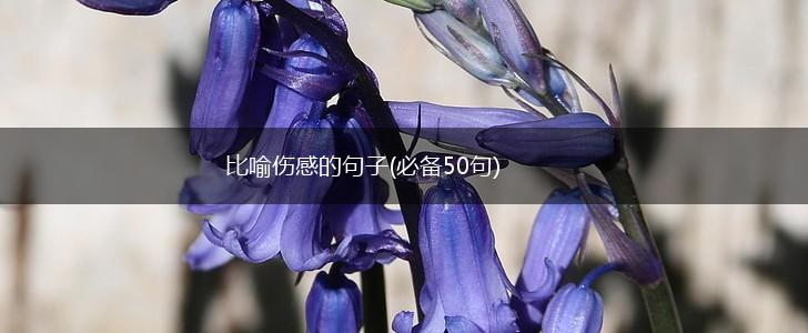 比喻伤感的句子(必备50句),第1张
