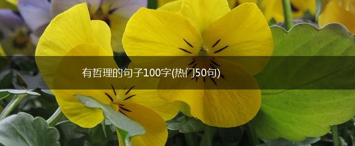 有哲理的句子100字(热门50句),第1张