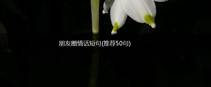 朋友圈情话短句(推荐50句),第1张