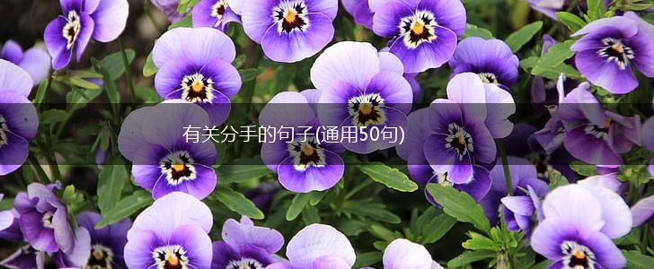 有关分手的句子(通用50句),第1张