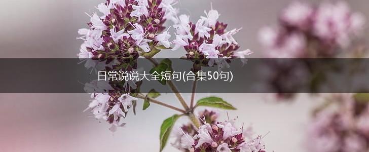 日常说说大全短句(合集50句),第1张