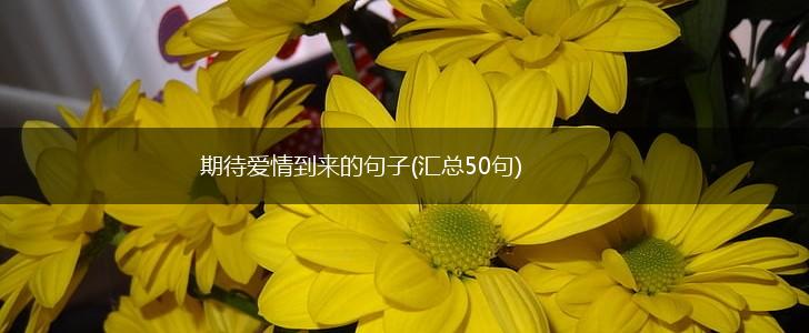 期待爱情到来的句子(汇总50句),第1张
