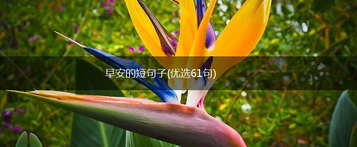 早安的短句子(优选61句),第1张