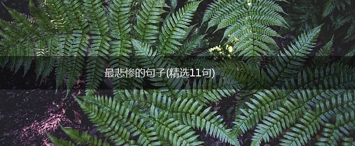 最悲惨的句子(精选11句),第1张