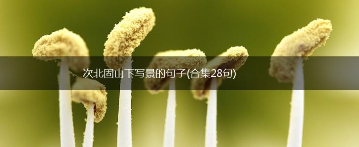 次北固山下写景的句子(合集28句),第1张